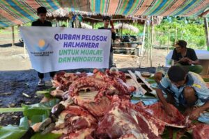 300 Bungkus Daging Qurban Atas Nama Anak Yatim Telah Disalurkan di Halmahera!